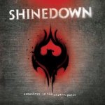 SHINEDOWN "Somewhere in the Stratosphere" large promo album pic