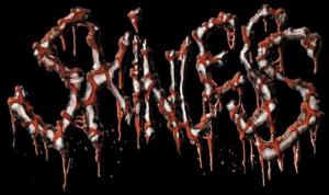 SKINLESS - Classic Logo - large