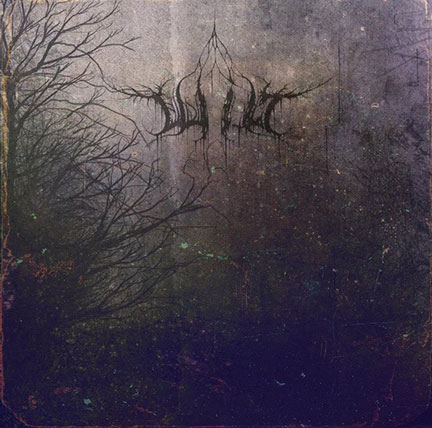 Wilt- debut album - promo cover pic!