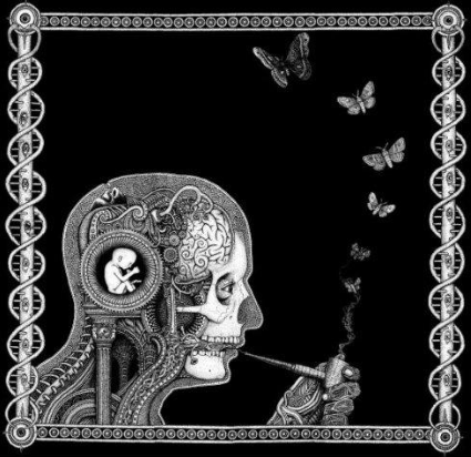 Soen - Cognitive - promo cover pic