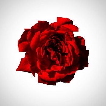 The Pretty Goodbyes - Now We Run - promo cover pic