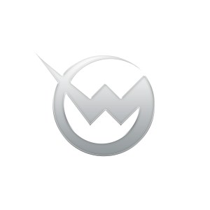 Wondergirls - large logo - Silver & White