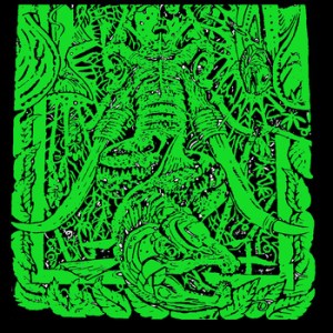 Mammoth Salmon - promo cover pic