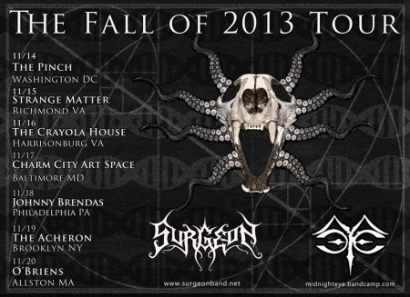 Surgeon - Fall Tour 2013 - promo flyer - November