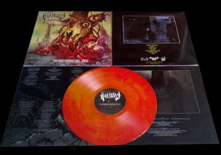 Besieged - Victims Beyond All Help - vinyl promo pic - 2014