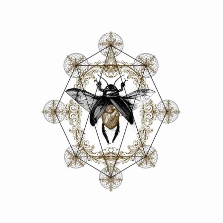 Ohhms - Bloom - promo cover pic - 2014