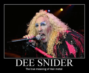 Dee Snider - The True Meaning Of Hair Metal - promo pic