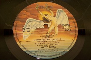 Pretty Things - Silk Torpedo - vinyl promo pic - Swan Song Records