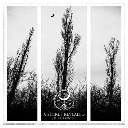 A Secret Revealed - The Bleakness - promo album cover pic - 2015 - #ASRMO21